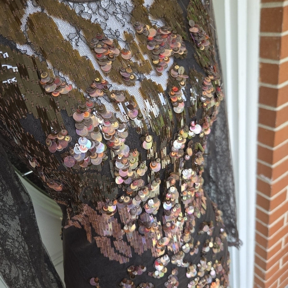Roberto Cavalli Brown Lace Sequin Evening Dress - Picture 4 of 16